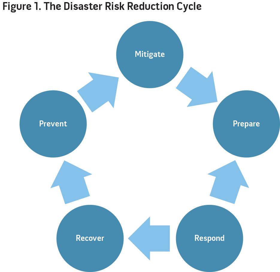 Figure 1. The Disaster Risk Reduction Cycle