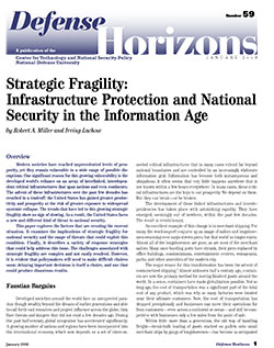 Infrastructure Protection and National Security in the Information Age