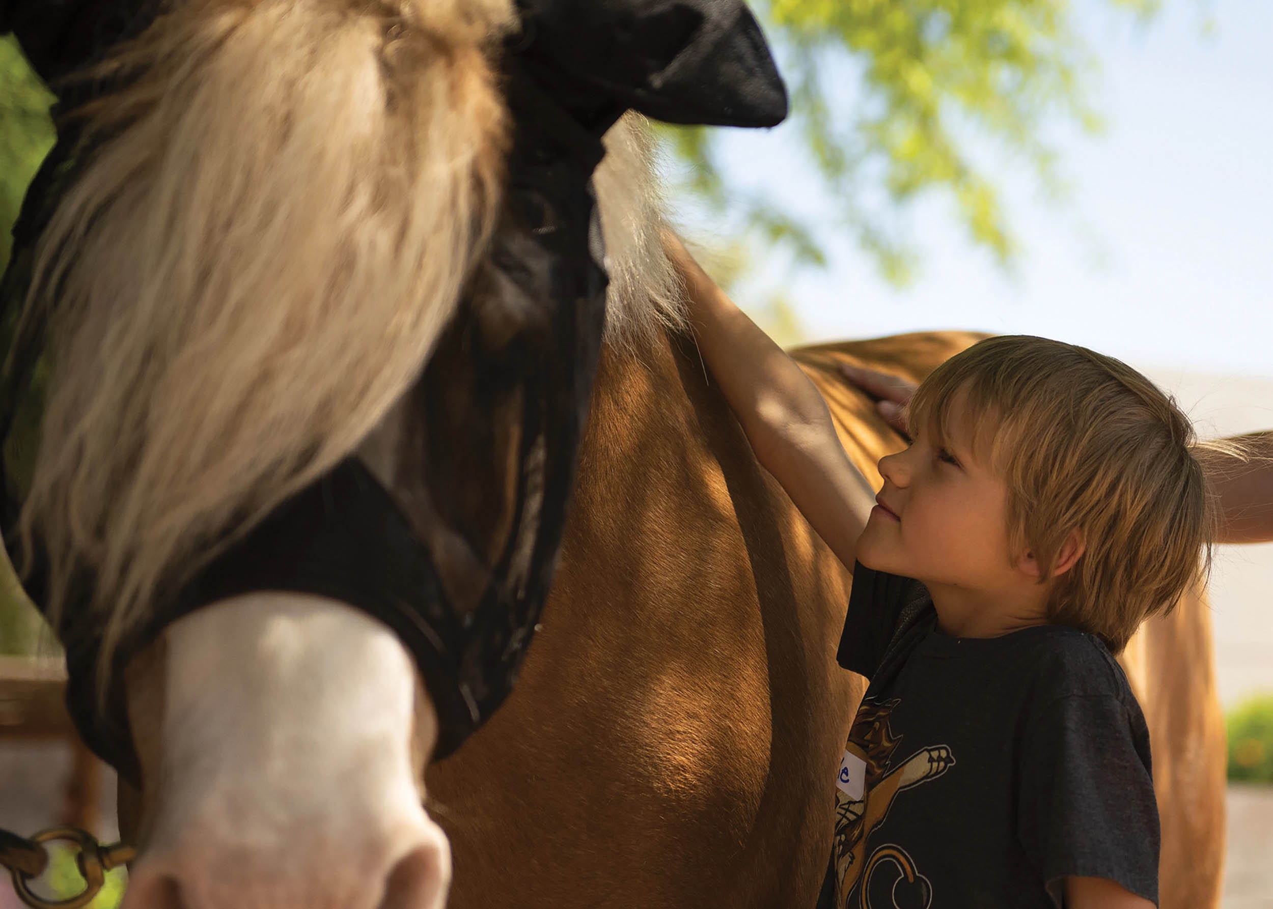 Child pets horse at Horses Help, April 20, 2019, in Phoenix, Arizona, as part of Luke Air Force Base’s Exceptional Family Member Program (U.S. Air Force/Leala Marquez)