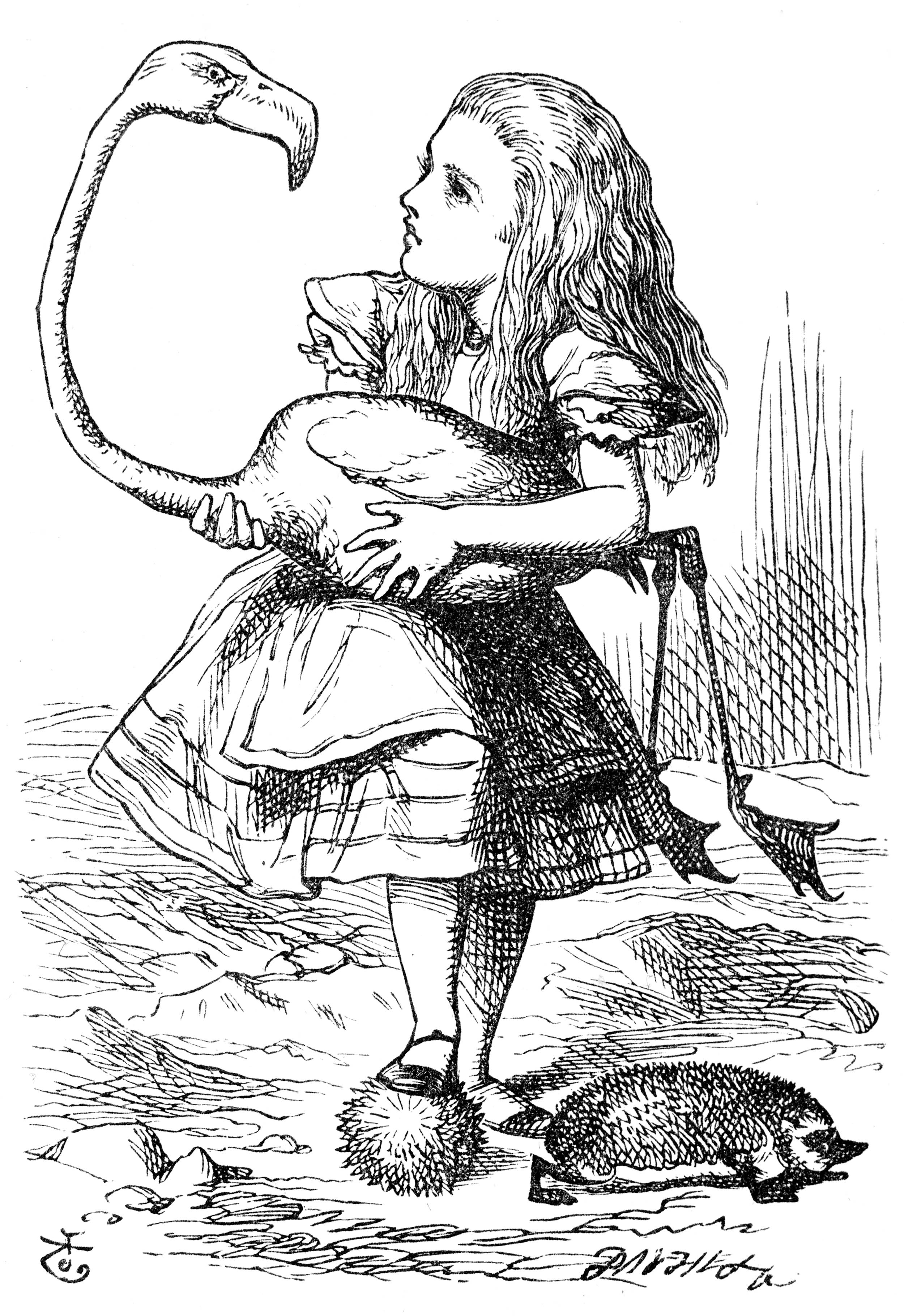 John Tenniel illustration from Lewis Carroll’s Alice’s Adventures in Wonderland of Alice playing croquet with a flamingo and a hedgehog (Courtesy Alice-in-Wonderland.net)