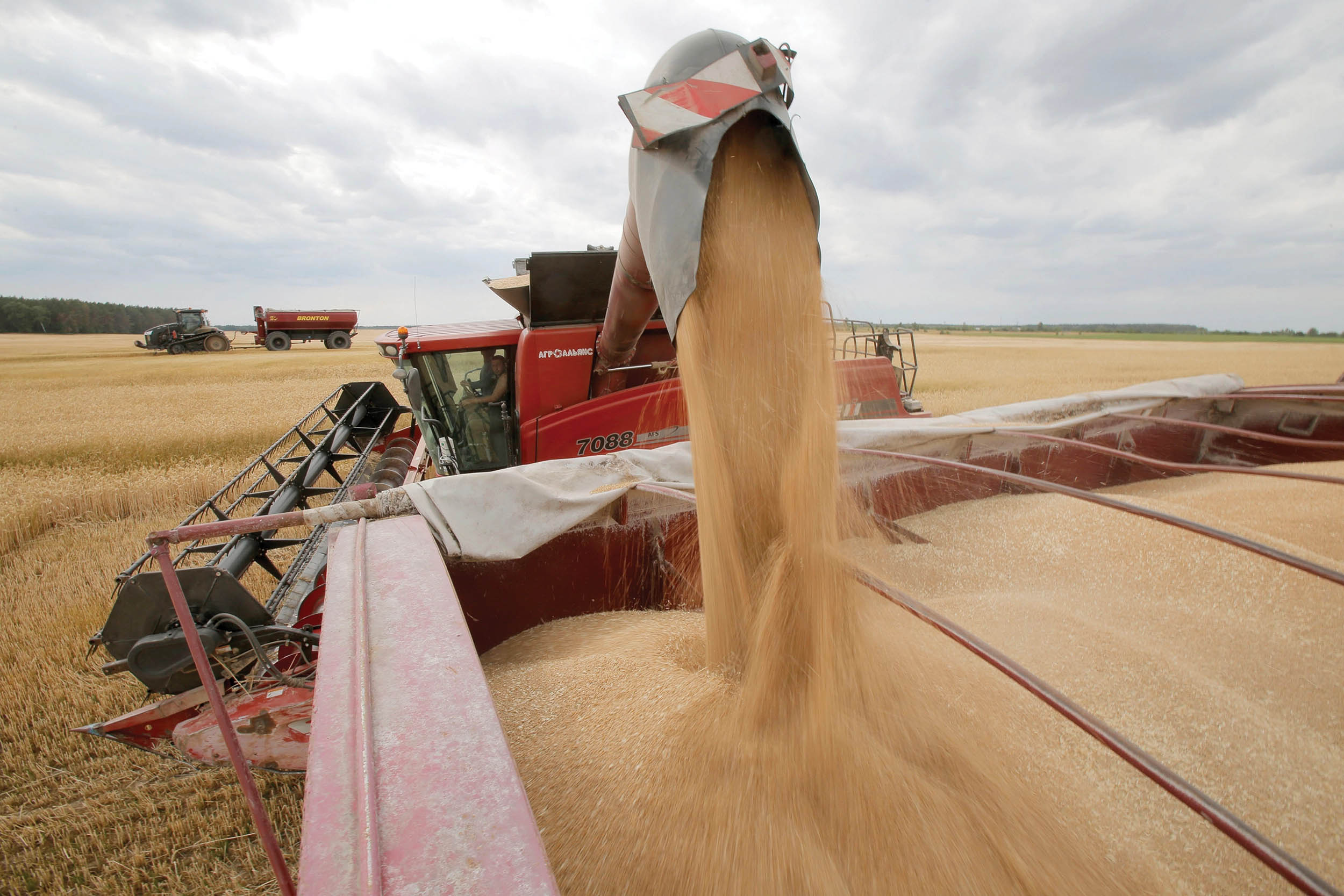 Combine reloads wheat into bunker for further transportation during harvest near Krasne, Ukraine, July 5, 2019 (United Nations Food and Agricultural Organization)