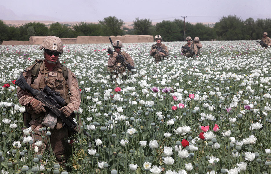 Marines move through poppy field on their way to Patrol Base Mohmon in Lui Tal District, Helmand Province, Afghanistan, April 17, 2012 (U.S. Marine Corps/Ismael Ortega)